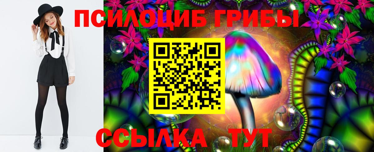 Псилоцибиновые грибы GOLDEN TEACHER Похвистнево